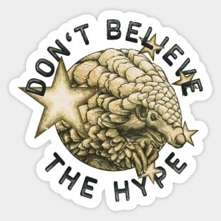 DON'T BELIEVE THE HYPE 2020 Sticker